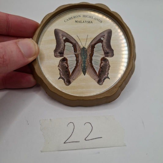 Butterfly Coasters