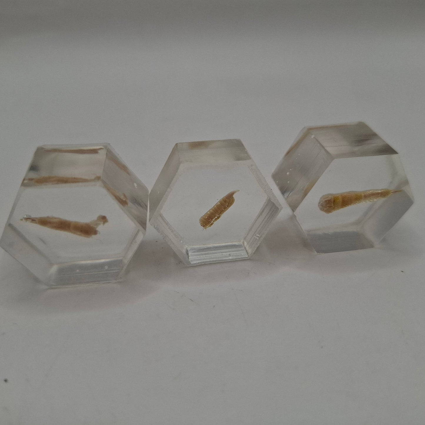 Hex Blocks