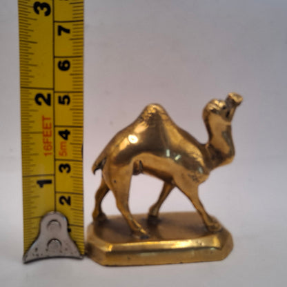 Metal Camel