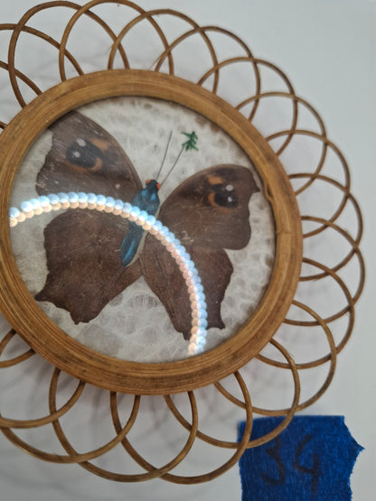 Butterfly Coasters