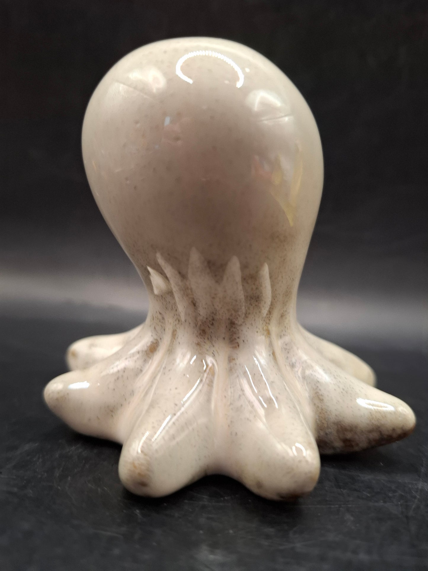 Milky Looking Octopus
