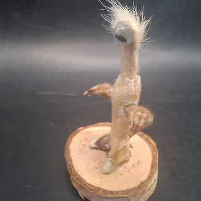 Mini Meat