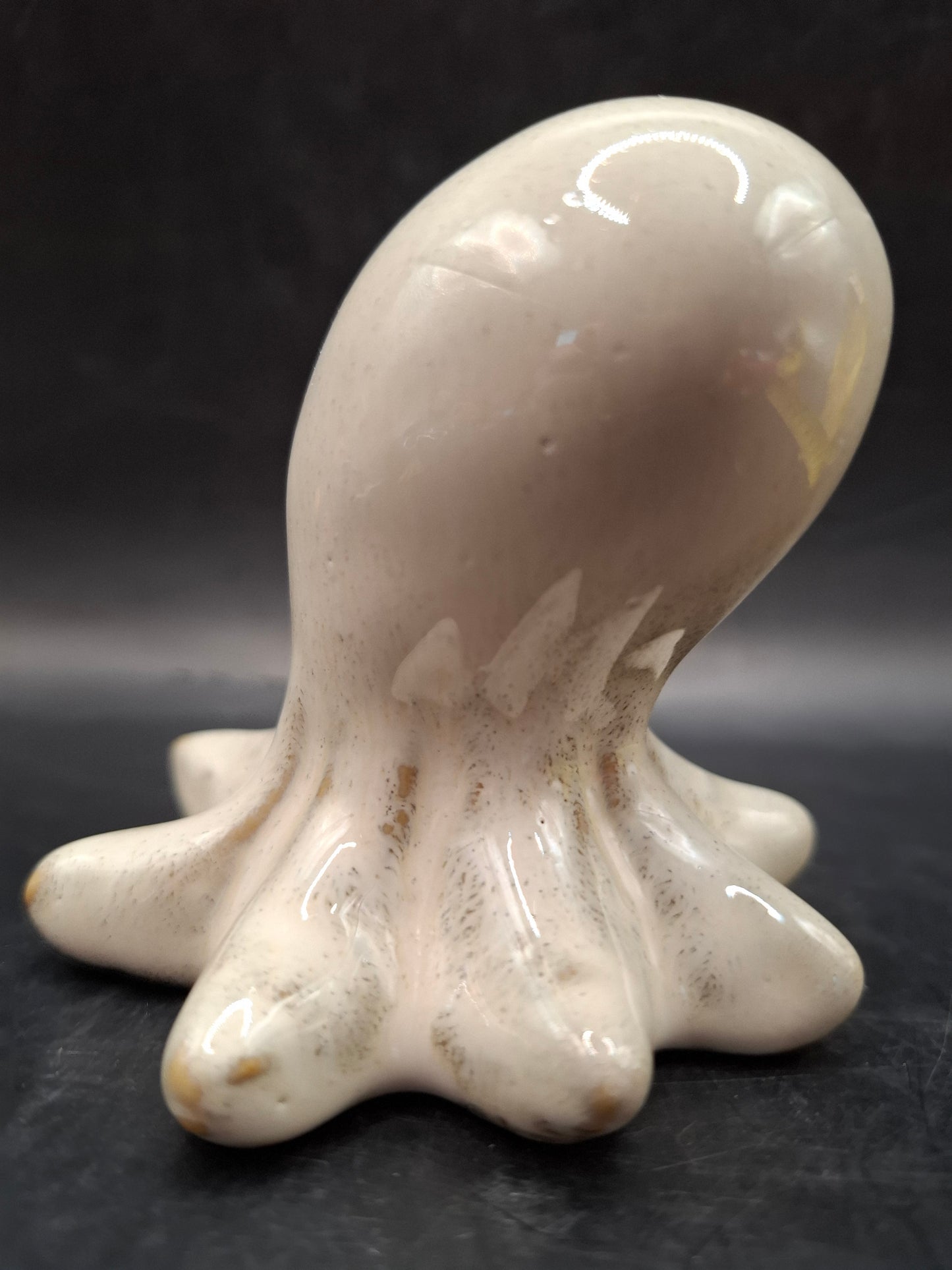 Milky Looking Octopus