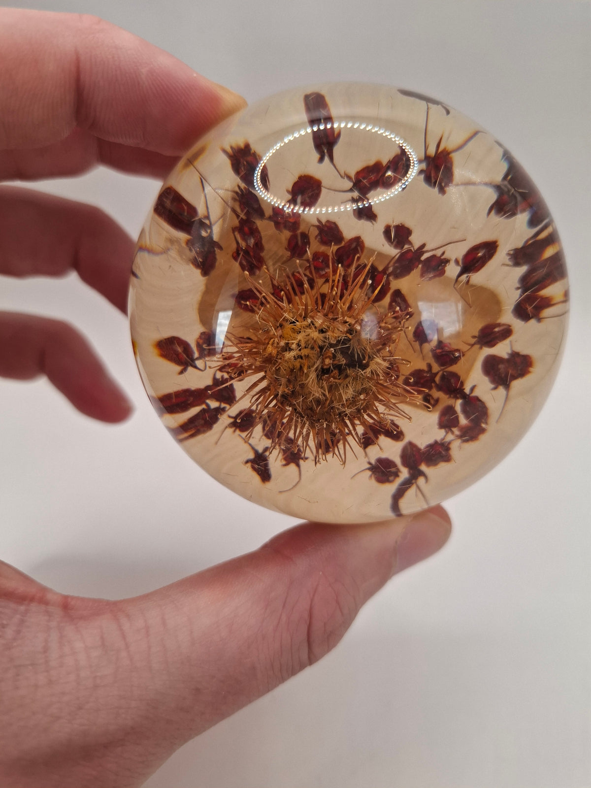 Vintage Resin Flowers