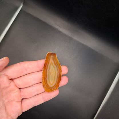 Agate fridge Magnet