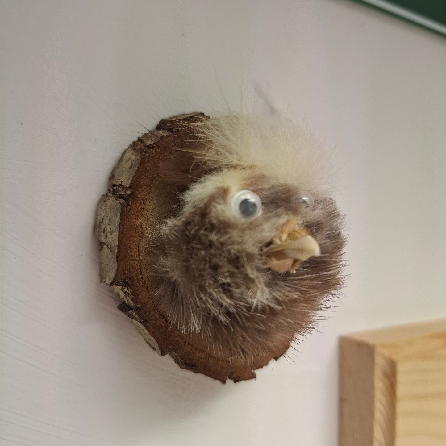 Little Head