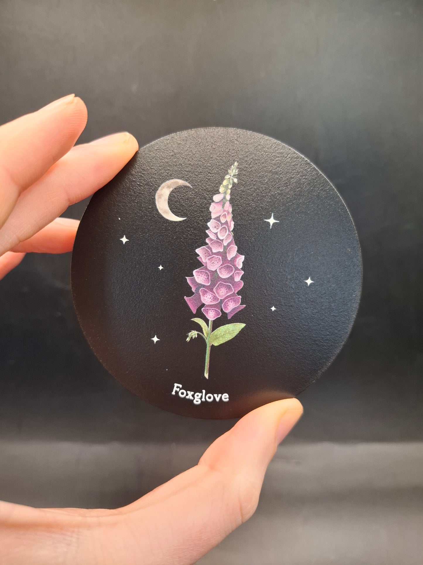 Poisonous Plant Coaster Set