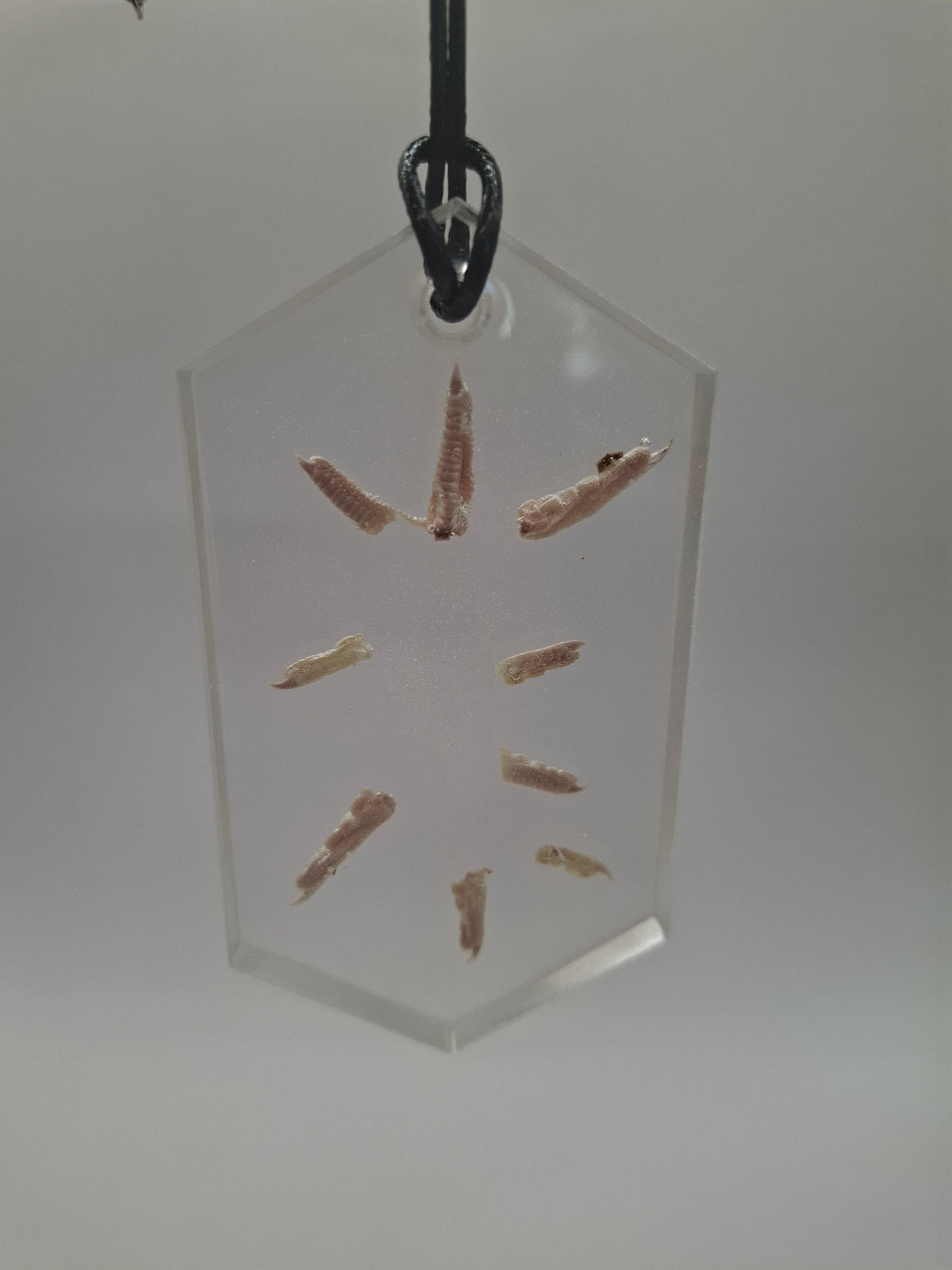 Toesplotion Necklace