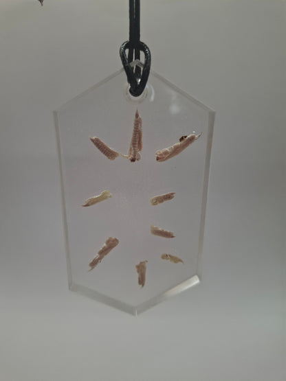 Toesplotion Necklace