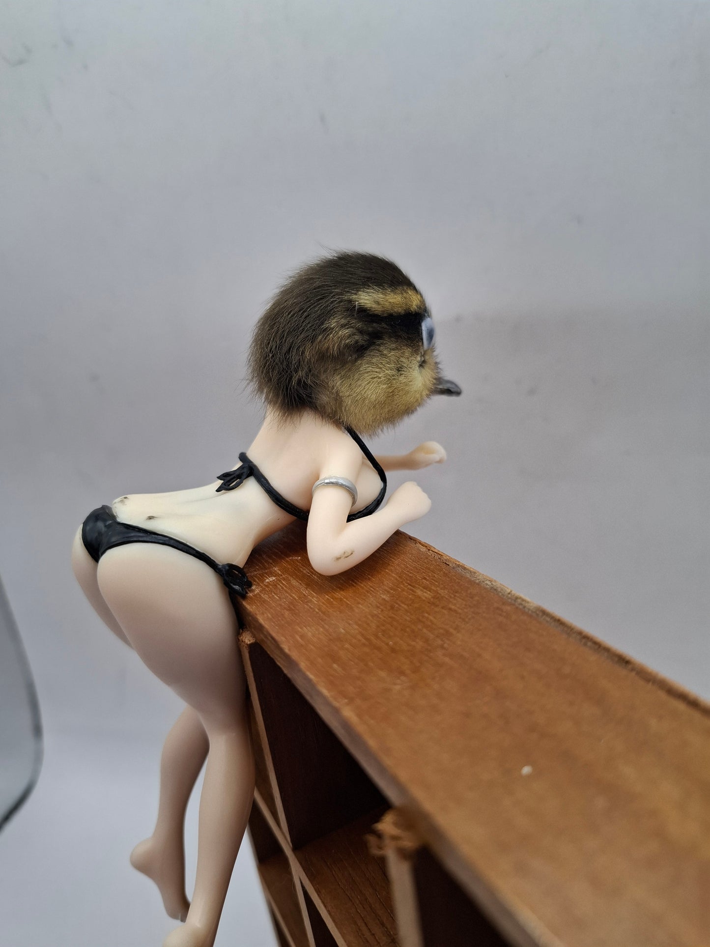 Peeping Duck