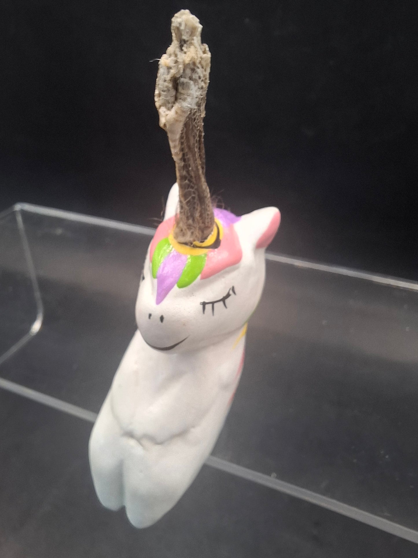 Shinny Unicorn