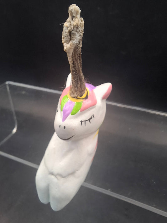 Shinny Unicorn