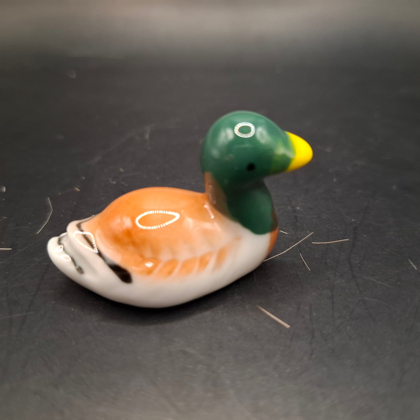 Duck