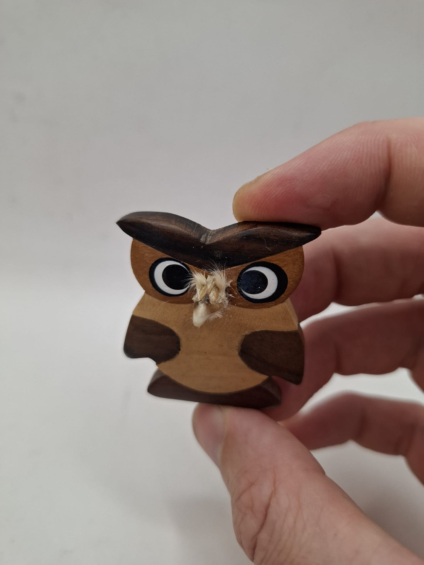 Bird Magnet
