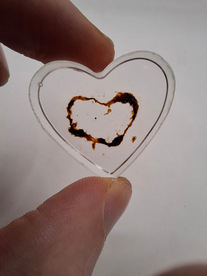 Intestinal Love Heart