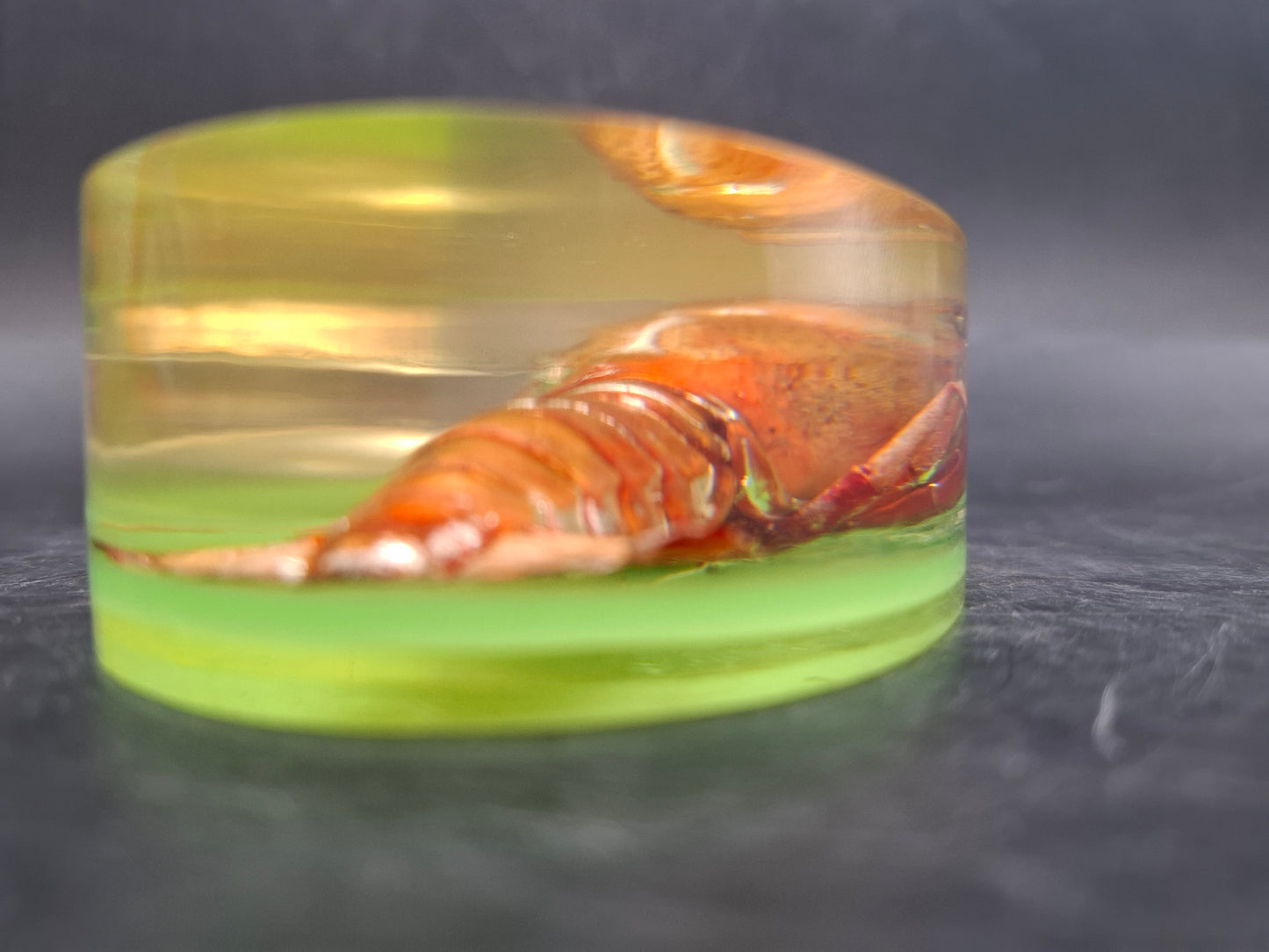 Crayfish In Resin