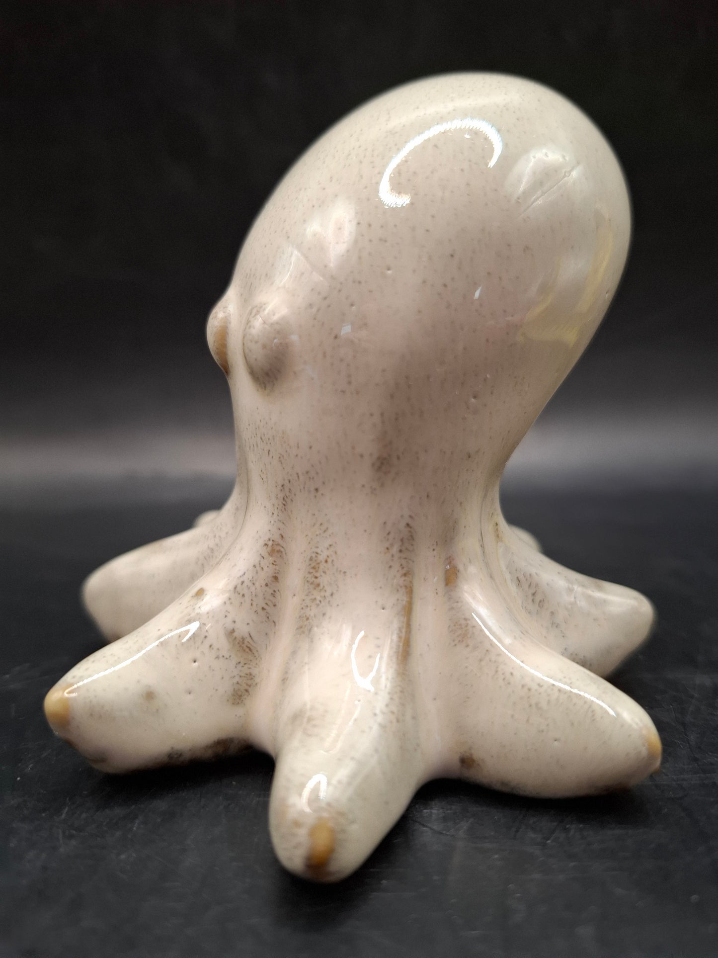 Milky Looking Octopus