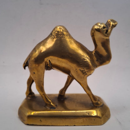 Metal Camel