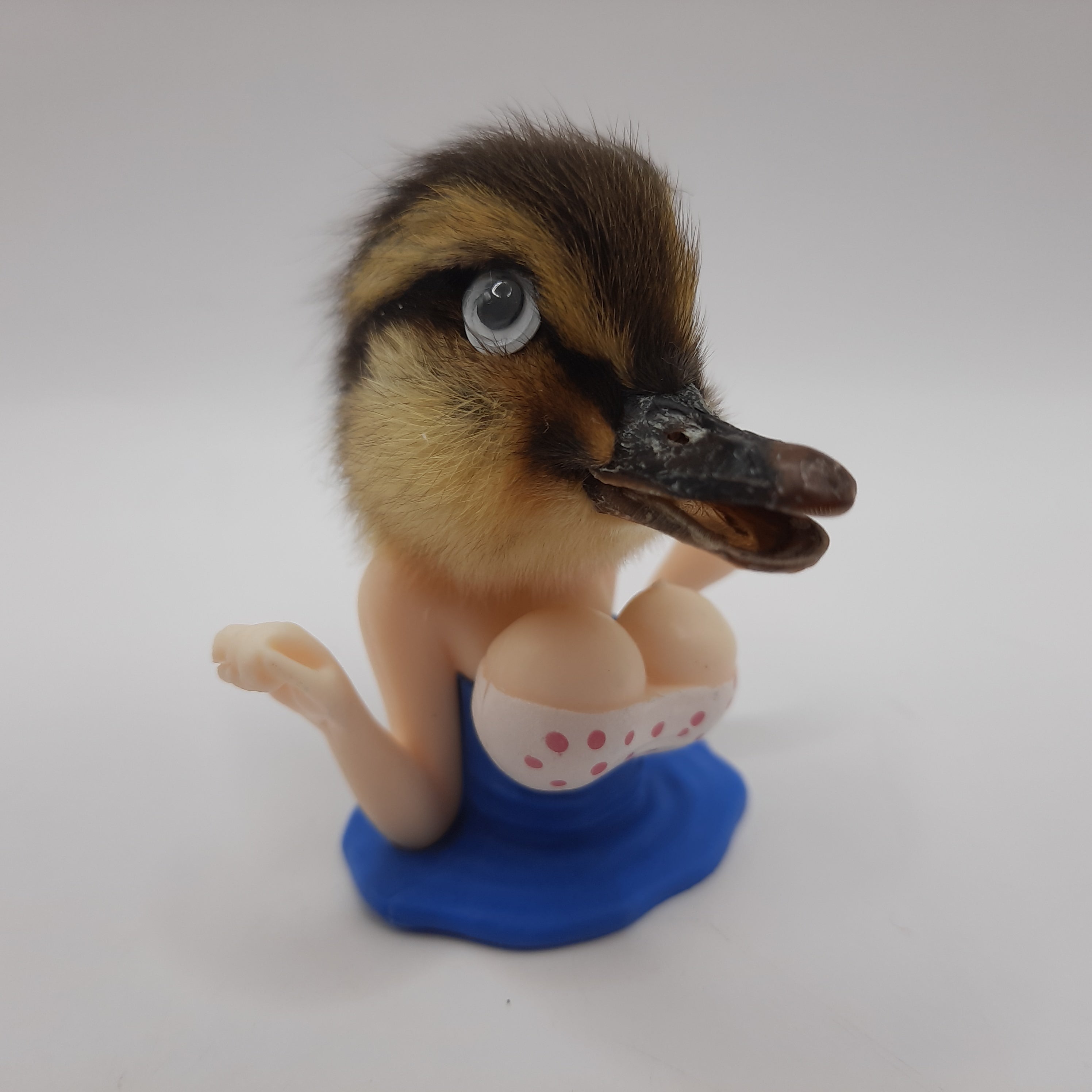 Chick With A Duck