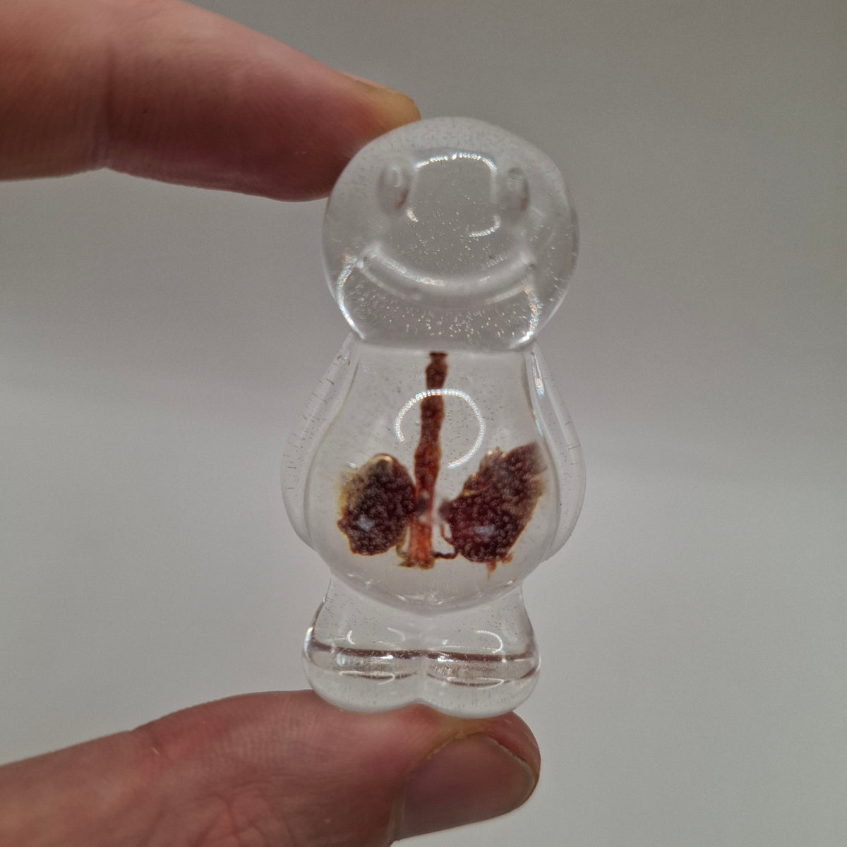 Anatony (Bubblier Batch)