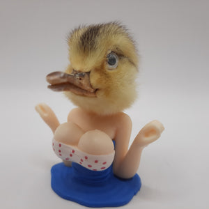 Chick With A Duck