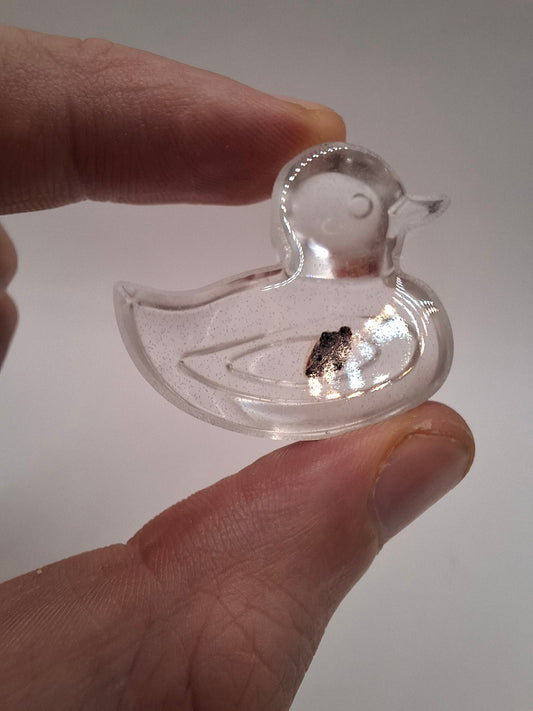 Mouse Heart In A Duck