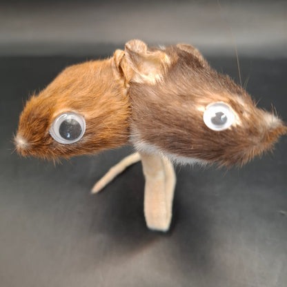Head: Two, Tail