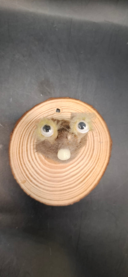 Wall Mountable Stalker Head