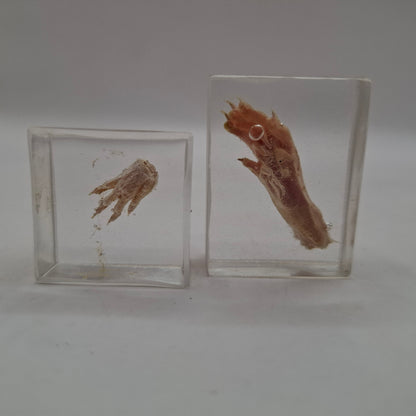 Bargain Box AKA Imperfect things