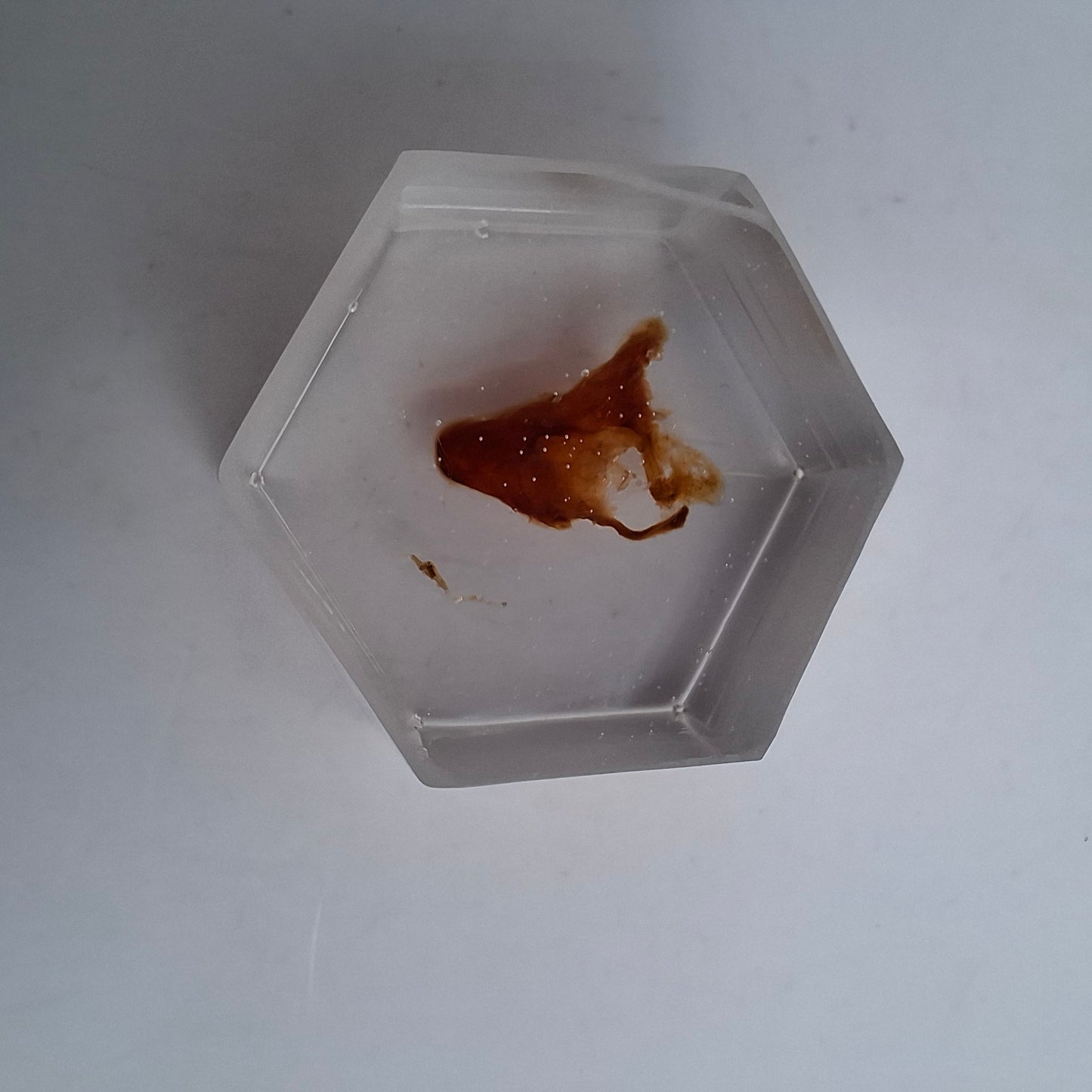 Bargain Box AKA Imperfect things