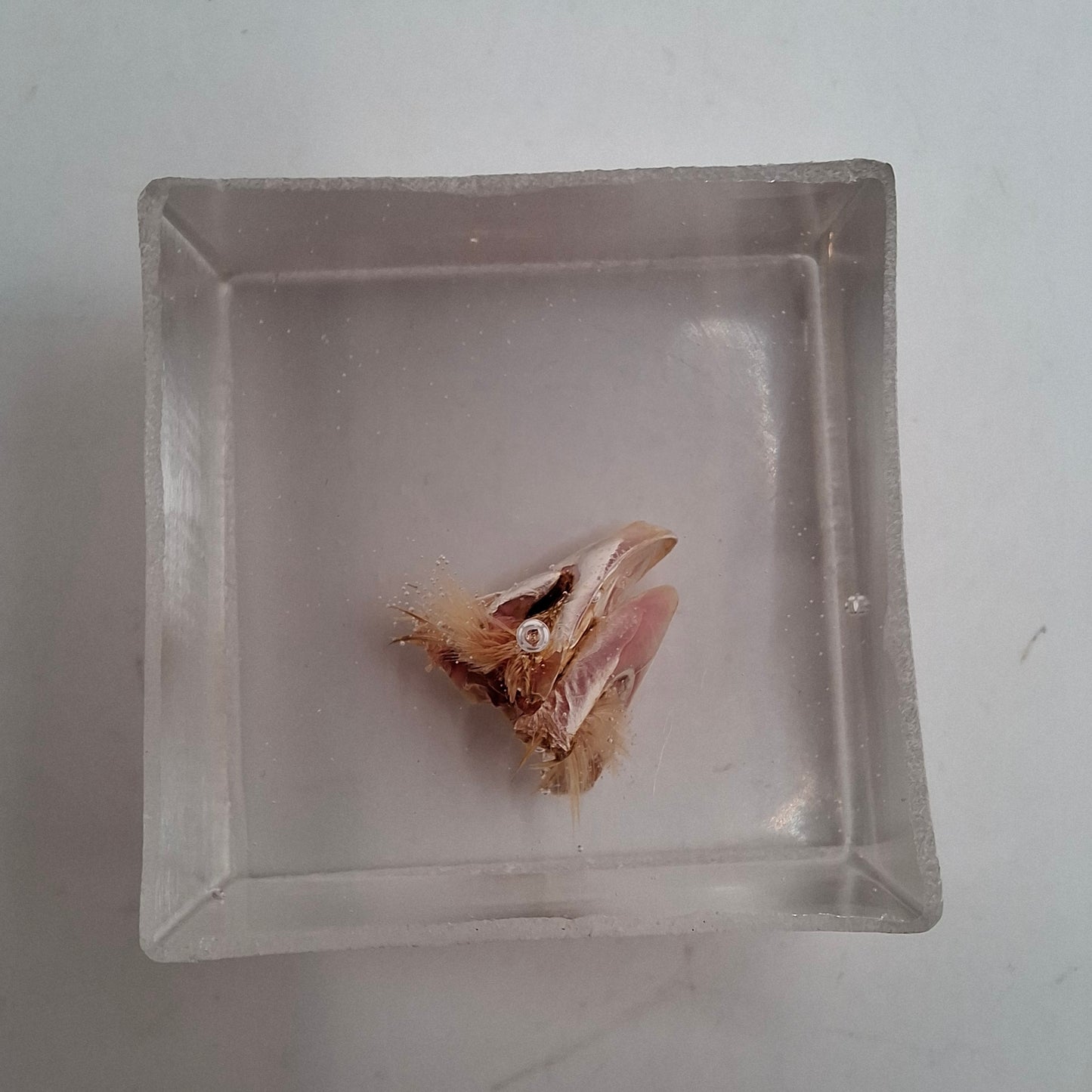 Bargain Box AKA Imperfect things