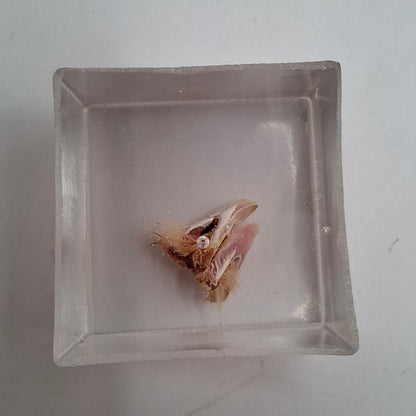 Bargain Box AKA Imperfect things