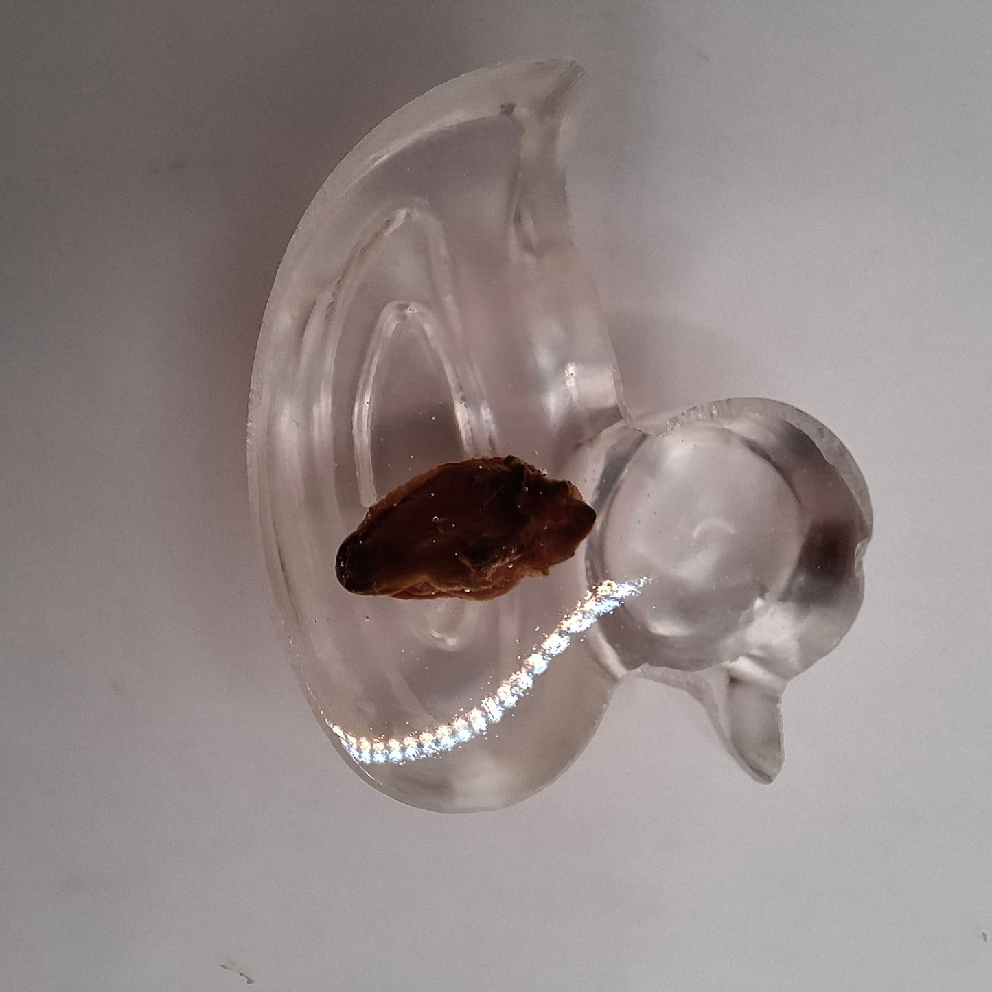 Bargain Box AKA Imperfect things