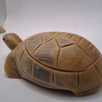 Horn Carving Of A Turtle