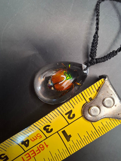 Little Chafer Beetle Necklace