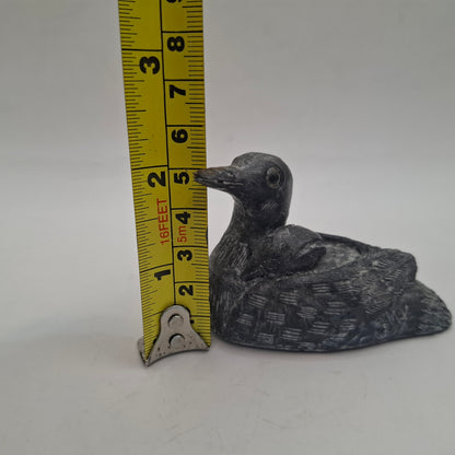 BDC - Black Duck, Canadian