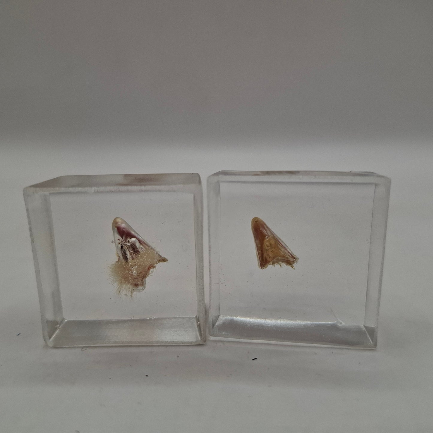 Bargain Box AKA Imperfect things