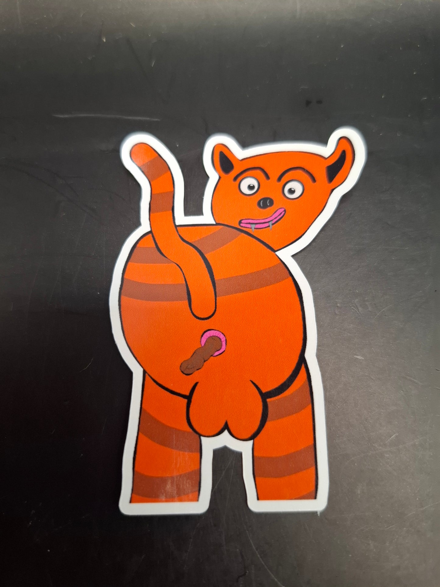 Cat Pushing A Turd Out Sticker