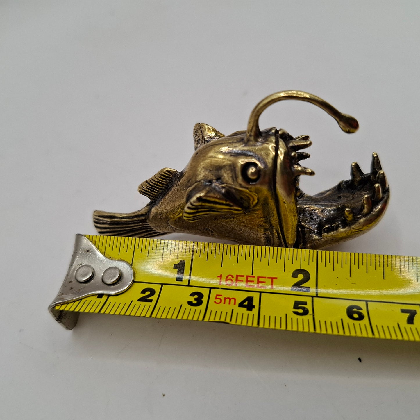 Anglerfish