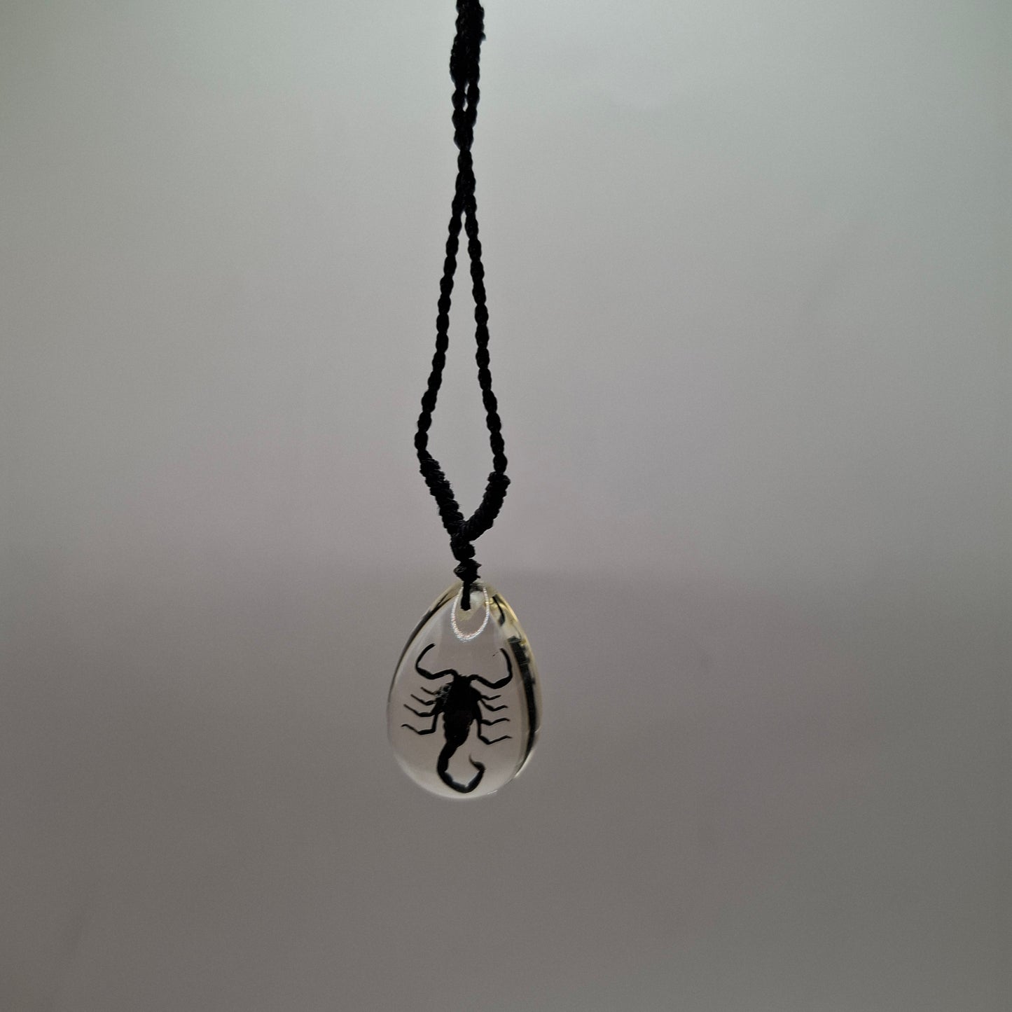 Scorpion Necklace