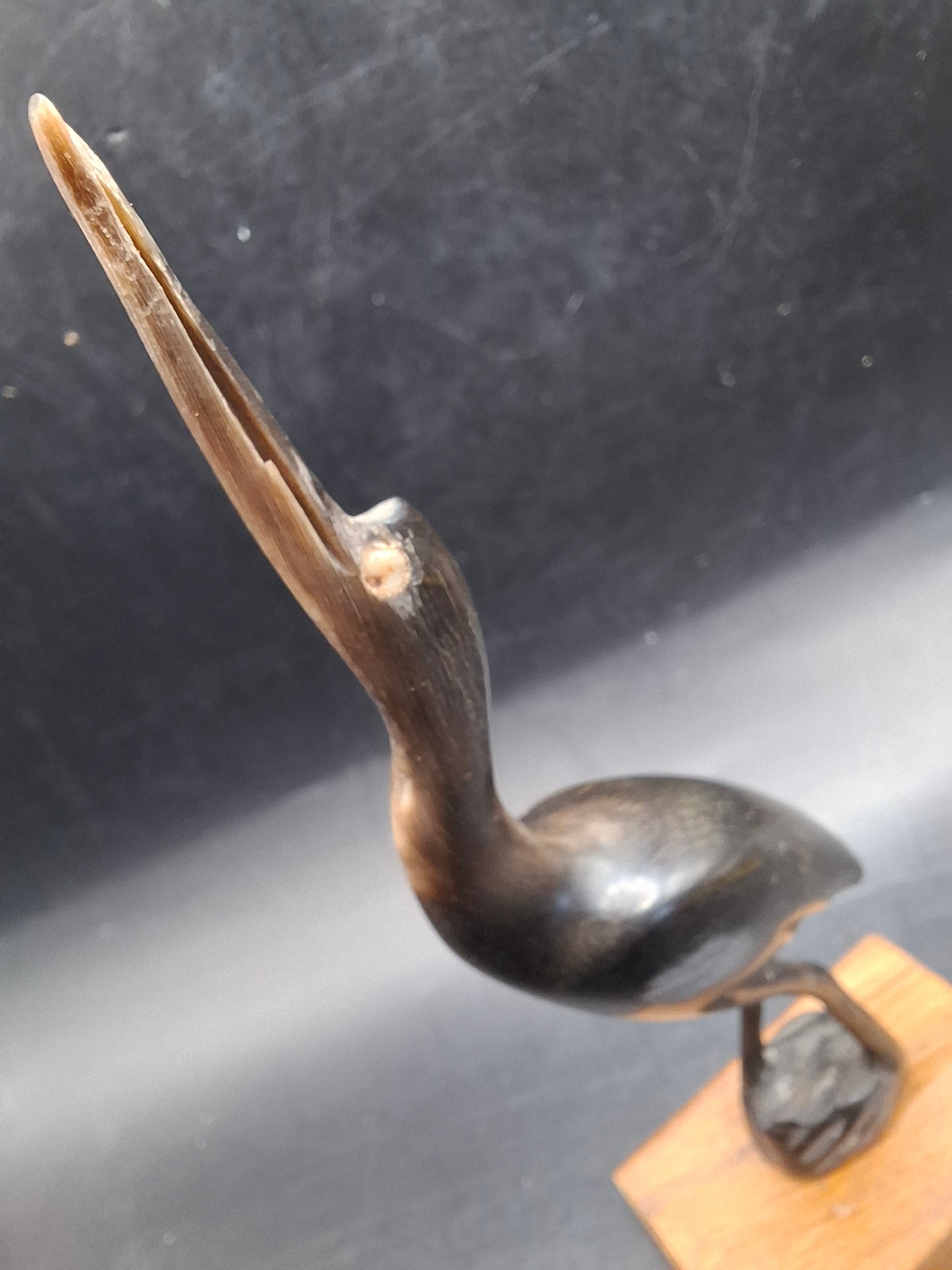 Mounted Bird Horn Carving (UK Only)