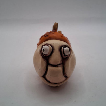 Boggle Eyed Fish