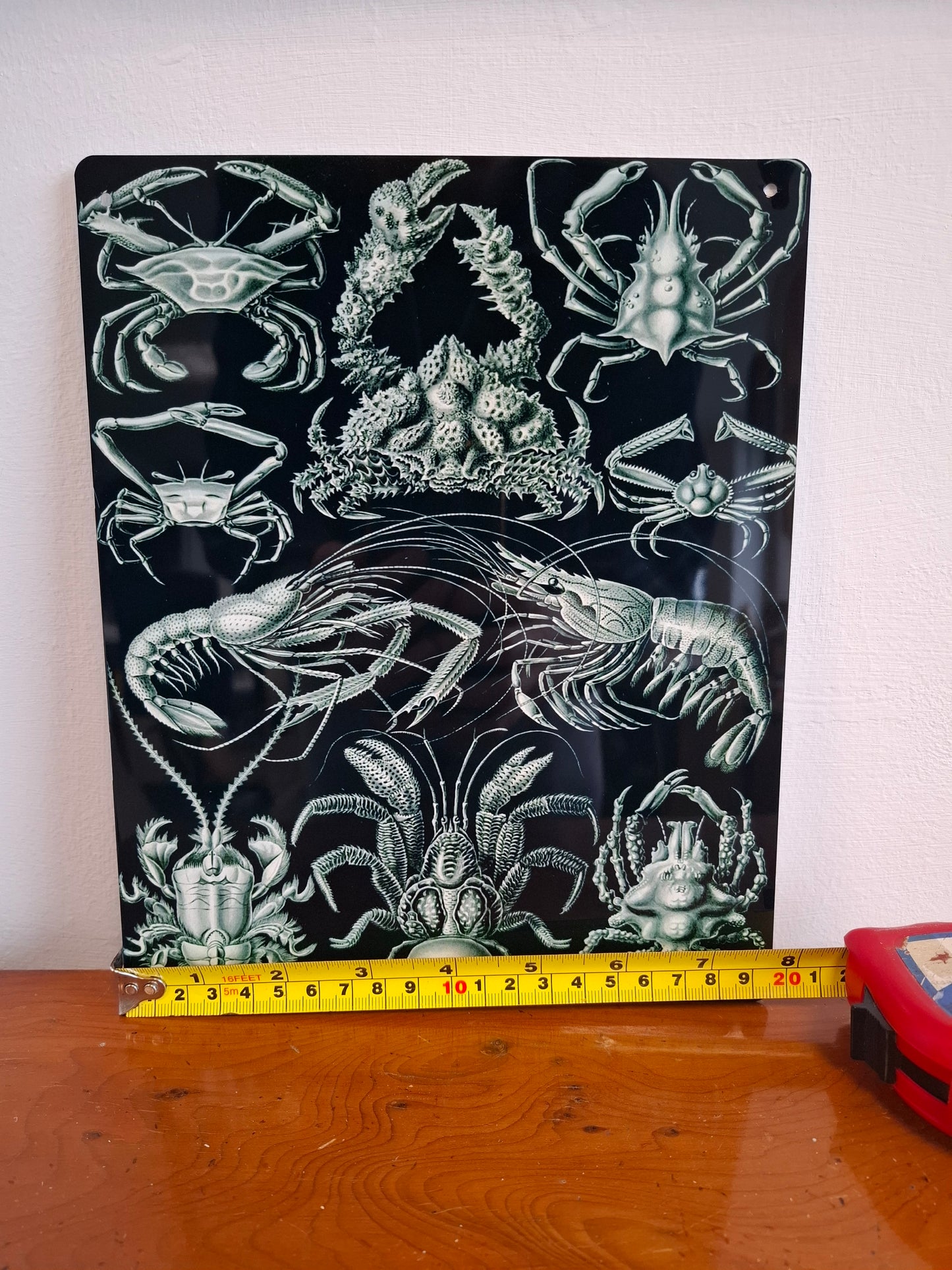 Crustacean Sign