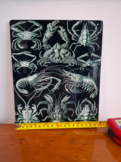 Crustacean Sign
