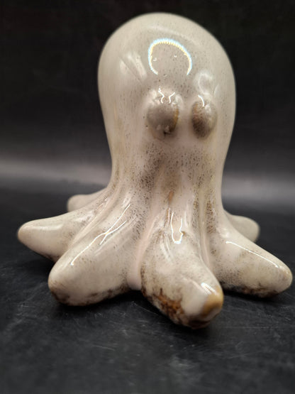 Milky Looking Octopus