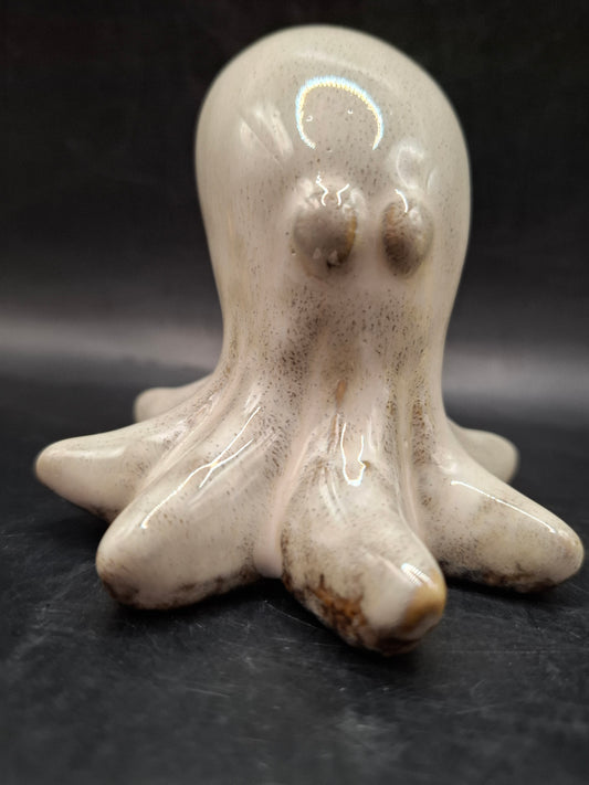 Milky Looking Octopus