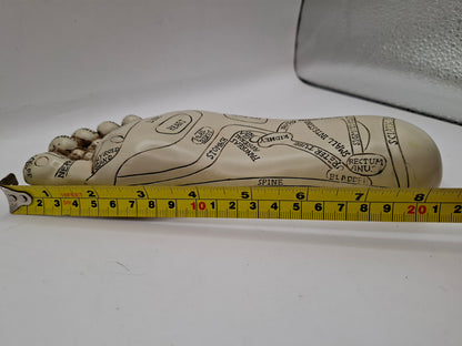 Unscientific Foot
