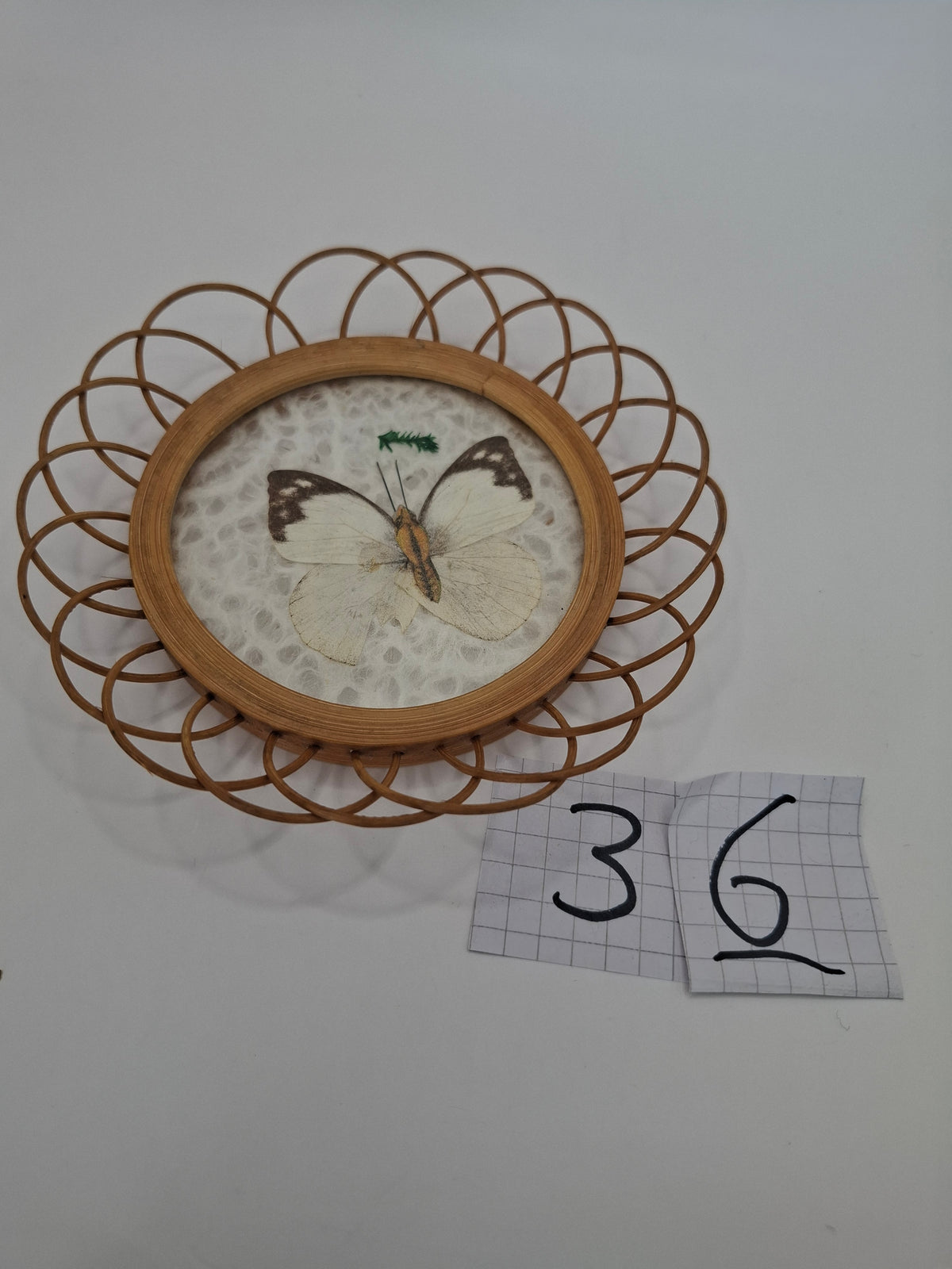 Butterfly Coasters