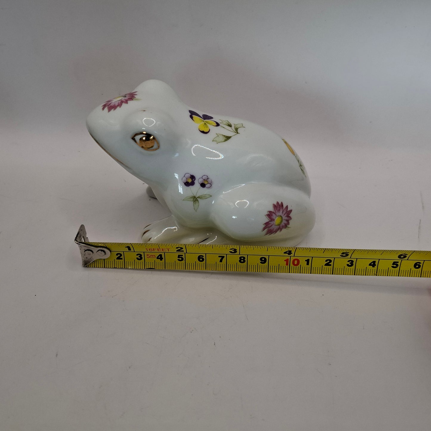 Weird Frogs (More of them!)