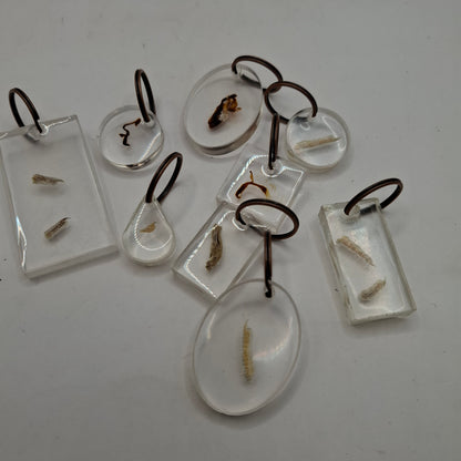 Bargain Box AKA Imperfect things